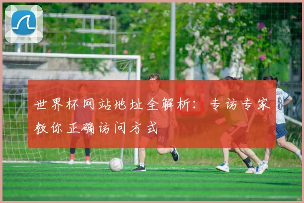 世界杯网站地址全解析:专访专家教你正确访问方式