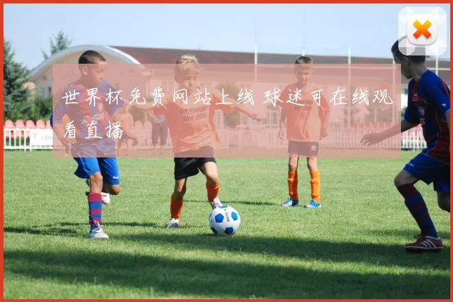 世界杯免费网站上线 球迷可在线观看直播