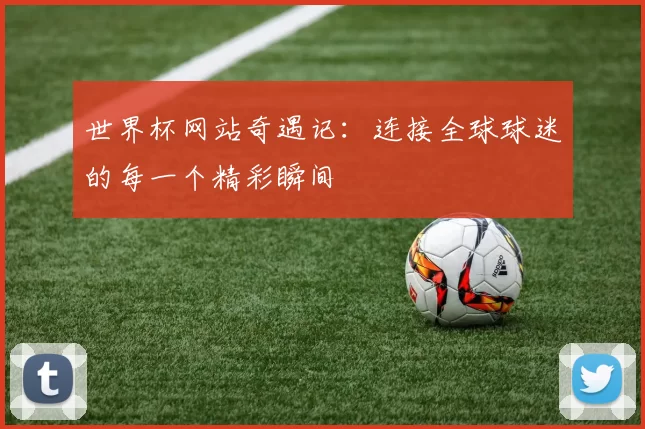 世界杯网站奇遇记:连接全球球迷的每一个精彩瞬间