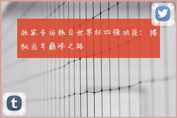 独家专访韩日世界杯四强功臣:揭秘当年巅峰之路