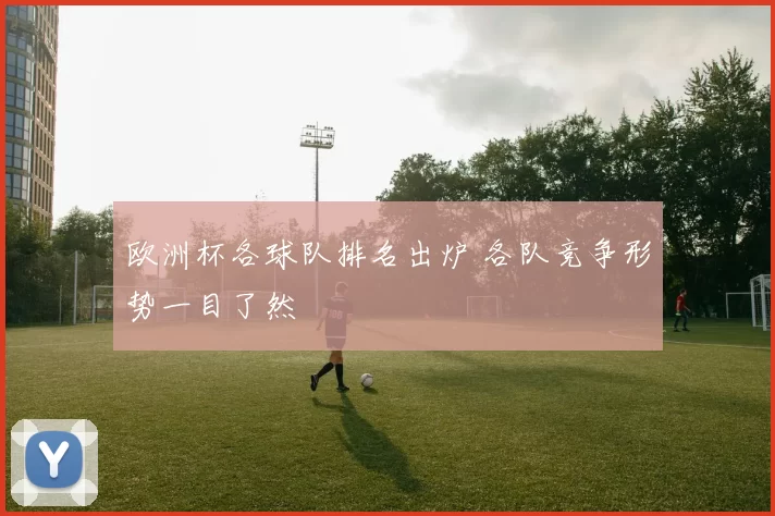 欧洲杯各球队排名出炉 各队竞争形势一目了然