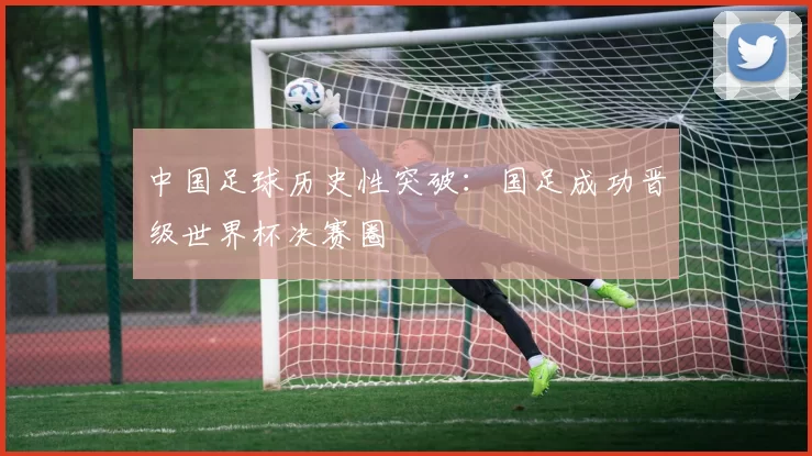 中国足球历史性突破:国足成功晋级世界杯决赛圈