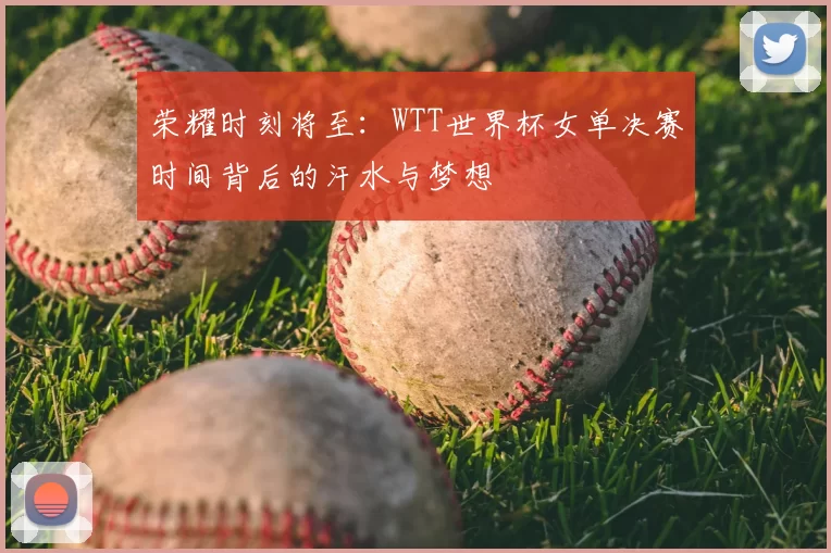 荣耀时刻将至:WTT世界杯女单决赛时间背后的汗水与梦想