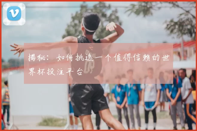 揭秘：如何挑选一个值得信赖的世界杯投注平台