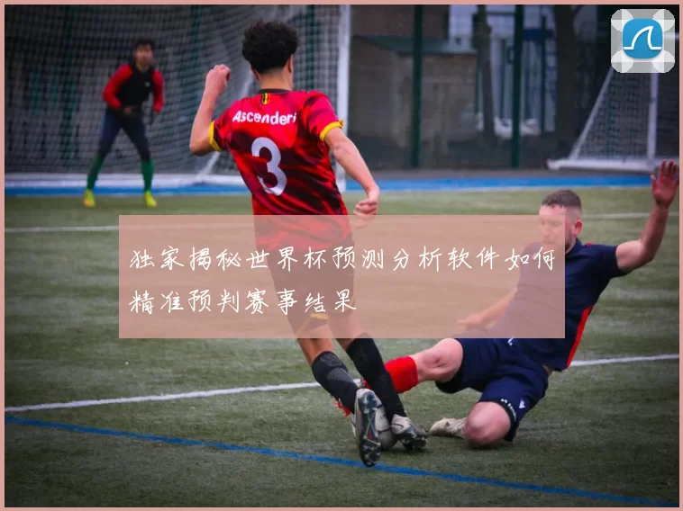 独家揭秘世界杯预测分析软件如何精准预判赛事结果