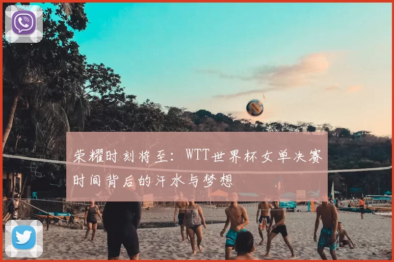 荣耀时刻将至:WTT世界杯女单决赛时间背后的汗水与梦想