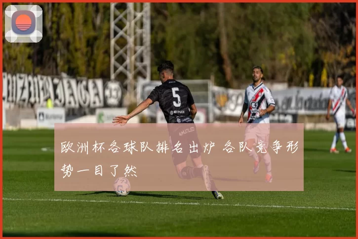 欧洲杯各球队排名出炉 各队竞争形势一目了然