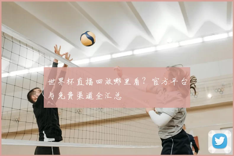 世界杯直播回放哪里看?官方平台与免费渠道全汇总