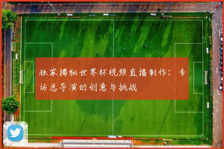 独家揭秘世界杯视频直播制作:专访总导演的创意与挑战
